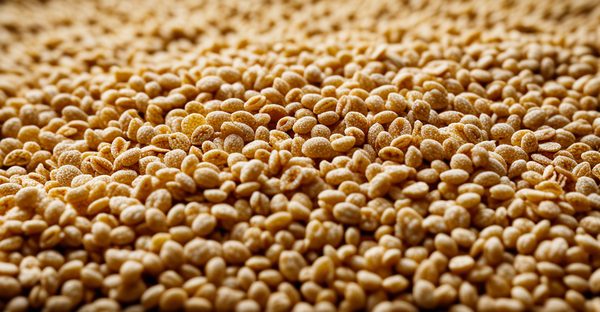 Céréales sans sucre : le bon goût au service de votre santé